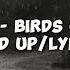 Birds Of A Feather Billie Eilish Sped Up Lyrics