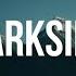 Alan Walker Darkside Ft Au Ra And Tomine Harket Alto Saxophone Free Sheet Music