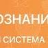 Обществознание 10 класс Политическая система общества