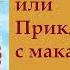 гл 1 Путь Кассандры или Приключения с макаронами Юлия Вознесенская аудиокнига