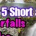 Top 5 Short And Easiest Waterfall Hikes Hong Kong