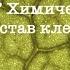 Биология 5 6 Пасечник аудио Параграф 7 Химический состав клетки