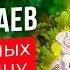 Обычаи и традиции русского народа непонятные иностранцу Приметы и суеверия История Руси