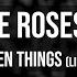 Like Roses Broken Things Lie To Me Guitar Cover On Screen Tabs