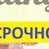 ЕКАПУСТА ПЕРВЫЙ ЗАЙМ БЕСПЛАТНО Микрозаймы на карту киви кошелёк Кредит без отказа и без процентов