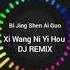 Xi Wang Ni Yi Hou DJ REMIX