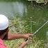 Village TILAPIA FISHING Simple Techniques For BIG SIze Tilapiafishes Catching Best Line And Hook