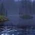 Night Ambient Sounds Cricket Swamp Sounds At Night Sleep And Relaxation Meditation Sounds