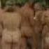 Naked Runners Streak Through London Zoo