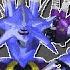 V2 16 Bit Genesis What I M Made Of Sonic Heroes