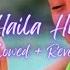 New Lofi Song Haila Haila Hua Hua Slowed Reverb Hrithik Roshan Songs Koi Mil Gya Lofi Top