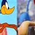 Evolution Of Road Runner In Movies Cartoons TV 1949 2021