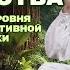 СЕКРЕТЫ МАСТЕРСТВА Поднятие уровня медитативной практики Прямой эфир с Андреем Бобровским