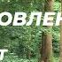 Восстановление энергии за 30 минут Йога для начинающих