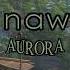 AURORA Runaway Speed Up