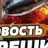 5 МИНУТ НАЗАД НОВЫЙ УДАР ОРЕШНИКОМ Прямо СЕЙЧАС Россию РАЗРЫВАЕТ ГЛАВНАЯ НОВОСТЬ