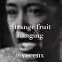 Billie Holiday Strange Fruit Acapella Vocalsonly Voice Voceux Vocals Music Jazz