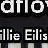 Wildflower Billie Eilish Piano Karaoke By Andre Panggabean