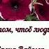 Есть радость в том чтоб люди ненавидели Елена Ваймер