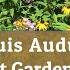 STL Audubon Native Plant Garden Tour Episode 4