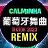 Calminha 越南版dj 葡萄牙舞曲 DJ抖音版 2023 Calminha Produção Dj Cleber Mix Remix Tiktok Hot Tiktok Douyin