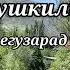 Сипехр Бердиев Дӯстон мушкили давру замон мегузарад 2024