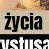 Ukryte Lata życia Jezusa Chrystusa Tego Nie Ma W Biblii