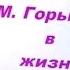 ВИДЕОБЕСЕДЫ Выпуск 9 Максим Горький в жизни донских писателей