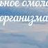 САБЛИМИНАЛ Глобальное омоложение организма Скрытые аффирмации