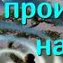 Лариса Акопян о том что сейчас происходит на Земле