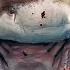 Sharks The Ocean S Apex Predators The Blue Realm Free Documentary Nature