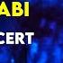 Ali Zand Vakili Roosari Abi I Live In Concert علی زندوکیلی روسری آبی