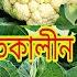 আজ রইল ২২ রকম শ তক ল ন সবজ ক ক সবজ চল ন দ খ ন ই Gardening Vegetables