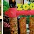 MINI ZOO How To Make MINI ZOO DIORAMA Mini Zoo Craft Using Recycled Materials DIY Art Zoo