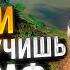 КУРШСКАЯ КОСА 2023 лучший путеводитель Все лайфхаки что посмотреть Калининград и область