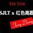 Some Thing Just Like This X 红色高跟鞋 Gót Giày Màu đỏ Terry Zhong Mashup 抖音神曲