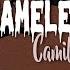 Camila Cabello Shameless Lyrics