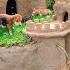 Abandoned Puppies Rescued And Build Castle Mud Dog House With Moat To Prevent Insect