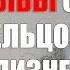 Совместимость в браке знака рыбы с Овном Тельцом Близнецом Раком