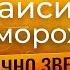 Таисия Скоморохова Интервью с подружкой по проекту Голос дети и ведущей ТВ ДЕТКИ Агнией Андреевой