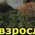 Почему взрослые дети не звонят и не рассказывают от том как на самом деле у них дела