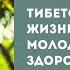 Тибетское дыхание жизни возвращаем молодость и здоровье