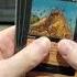 Collection Buy Highlights No 24 Forsaken Wastes Magicthegathering Mtg Vintage