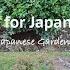 Five Essential Evergreens For Your Japanese Garden Our Japanese Garden Escape