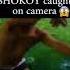 SHOKOY Caught On Camera