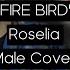 FIRE BIRD Roselia Male Cover