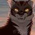 Black Tigerstar Warriors Cats котывоители Звездоцап коты кот рекомендации Cat Warriors Cats