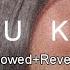 Kusu Kusu Slowed Reverb