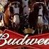 10 Famous Budweiser Super Bowl Commercials