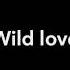 James Bay Wild Love Acoustic Lyrics